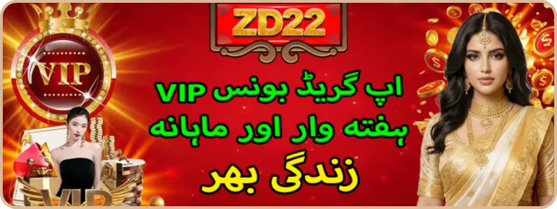ZD22