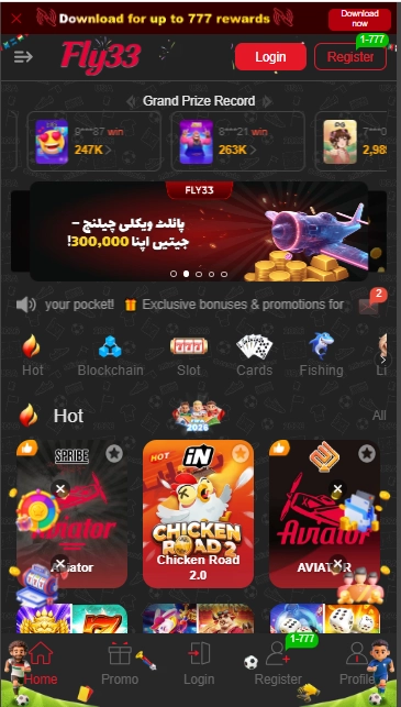 Fly33 Game Download